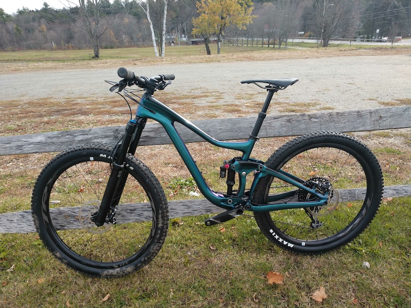 shogun sport trail blaster