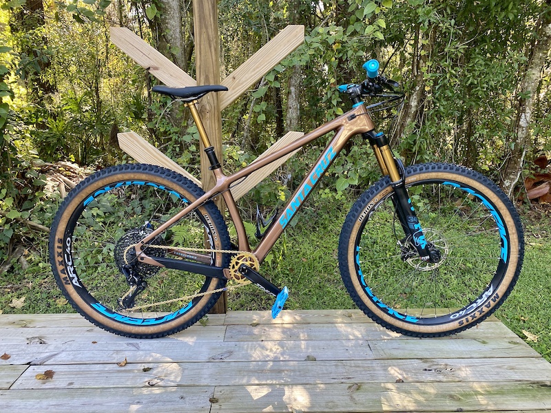 Custom santa cruz discount chameleon