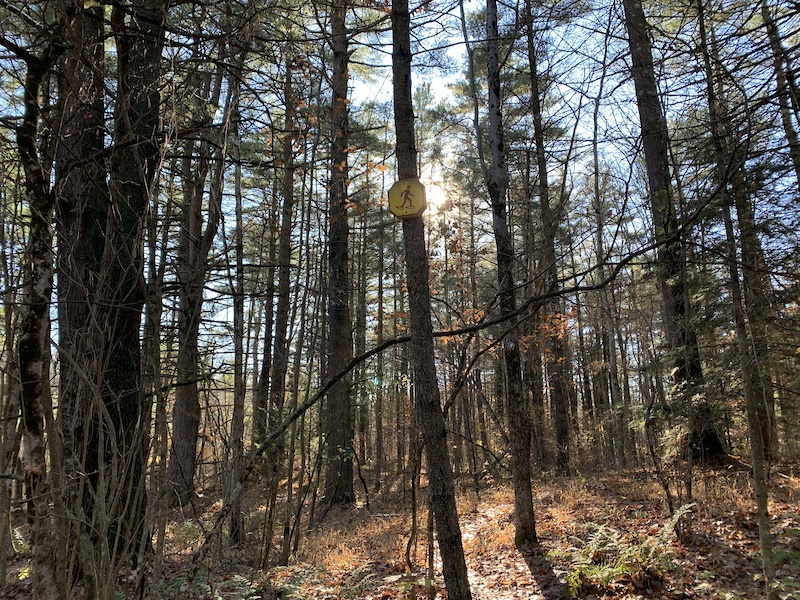 Snowshoe Trail Snowshoeing Trail Queensbury, New York