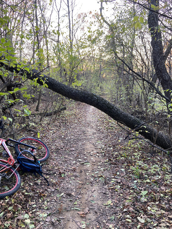 Bull Frog Lake Trail Hiking Trail Willow Springs