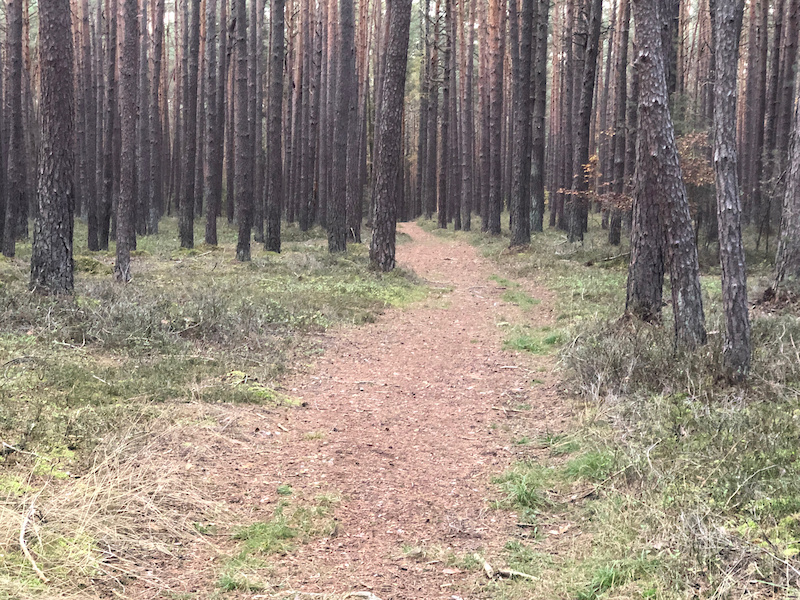 single trails erlangen