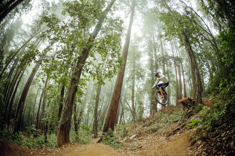 Warren Kniss staying true to his home town forest.