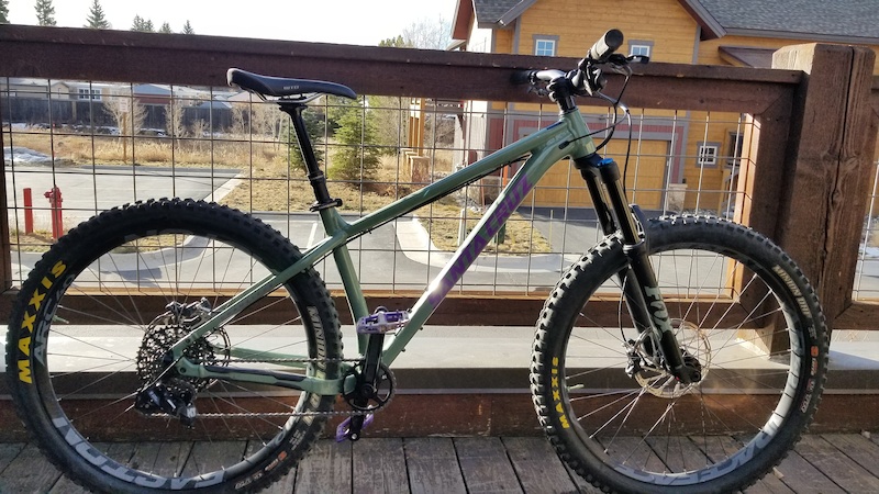 santa cruz chameleon 2019 for sale