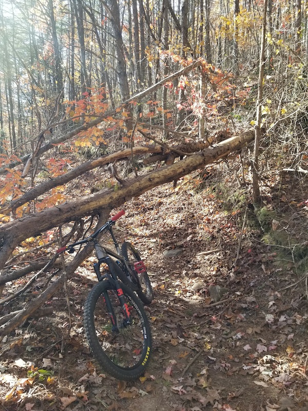 1330 Bypass Mountain Biking Trail Ducktown, Tennessee
