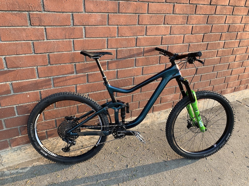 giant reign custom paint