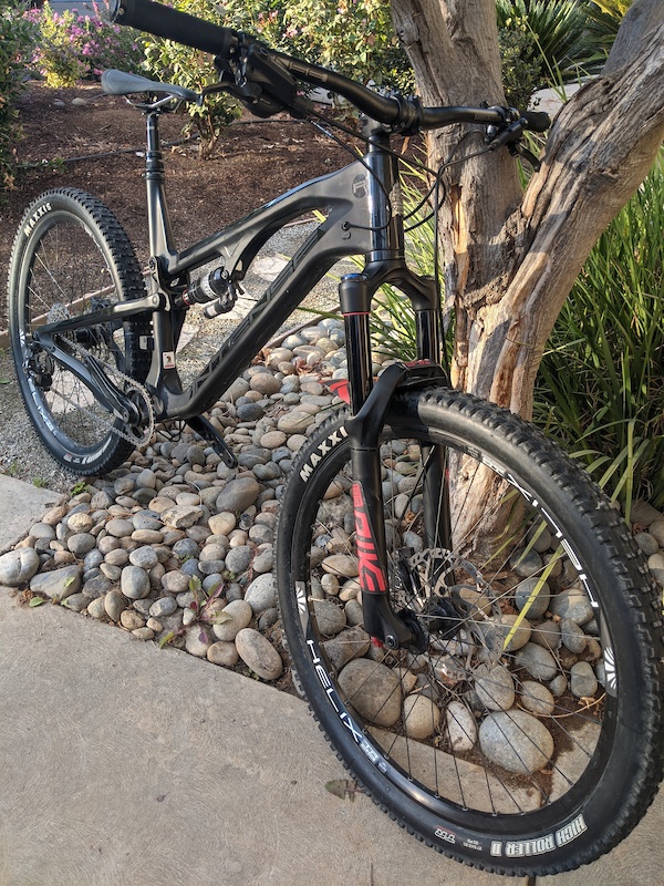 intense recluse carbon