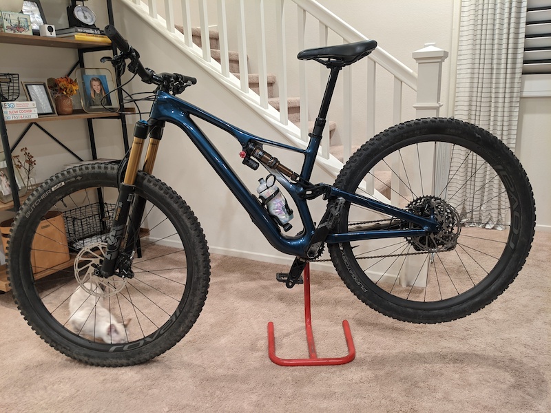 2019 stumpjumper pro