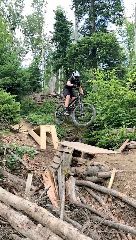 forest bike trails near me