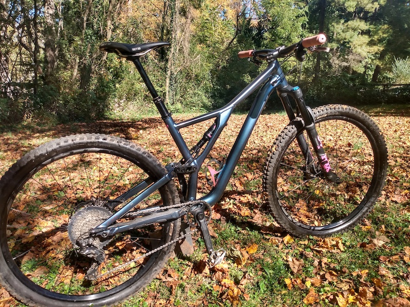 specialised stumpjumper st 2019