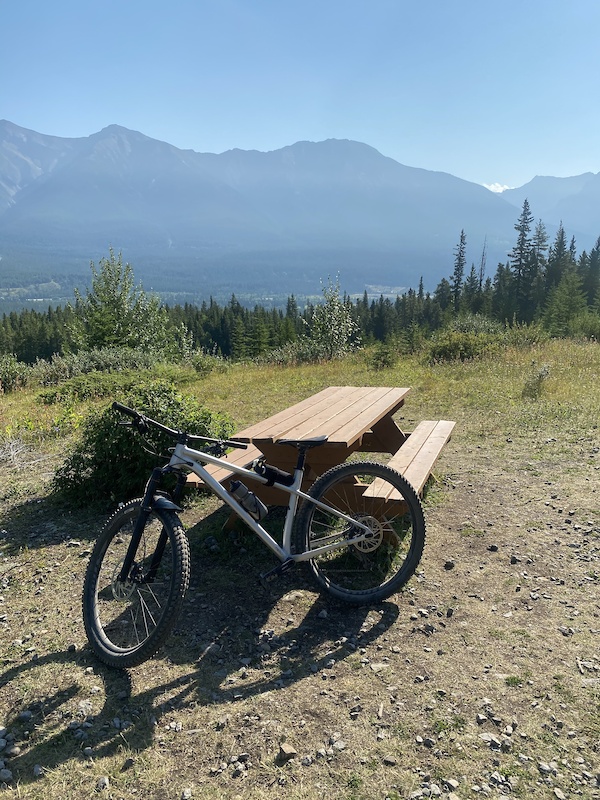 specialized fuse 29er