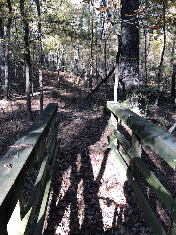 cane ridge mountain bike trail