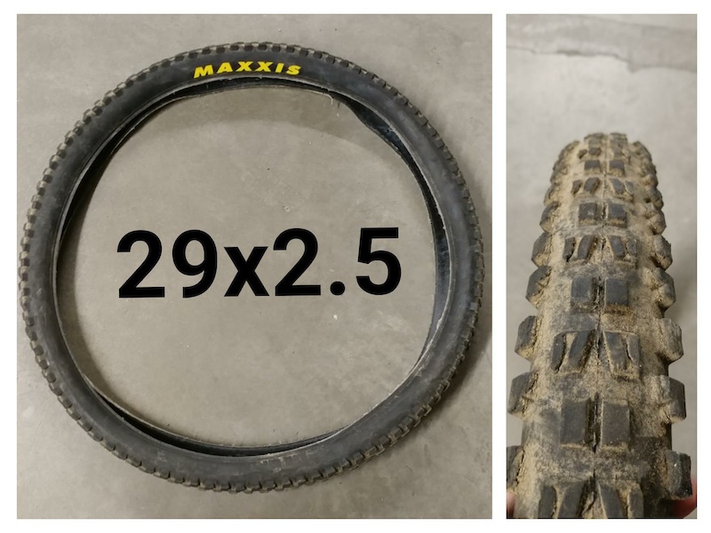 maxxis dhf 29 2.5