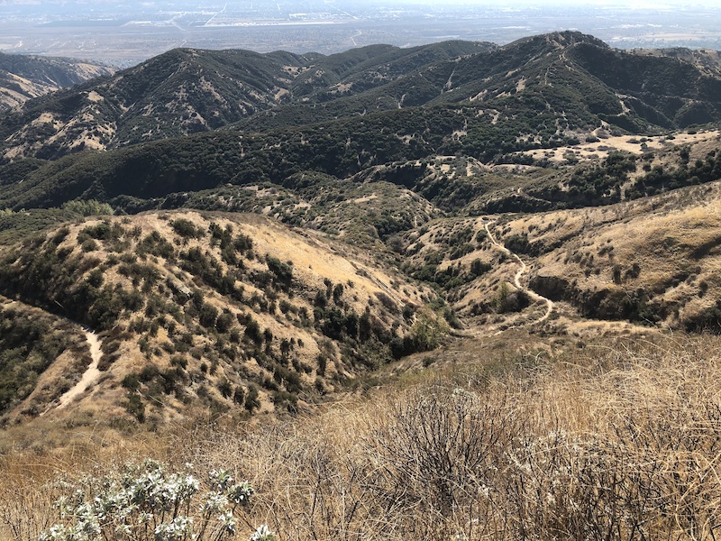 Plunge Creek Truck Trail (1N21) Mountain Biking Trail Mentone, CA