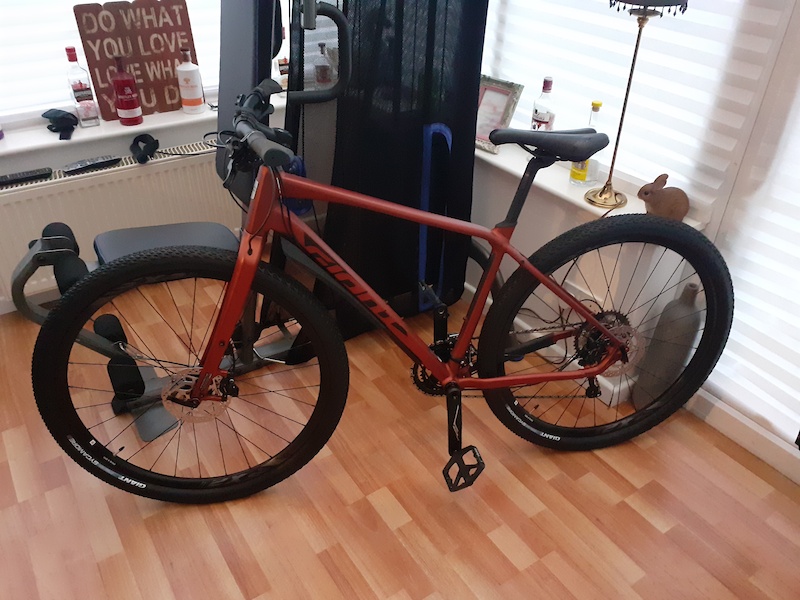 2020 Giant toughroad SLR 1 , gravel, adventure bike For Sale