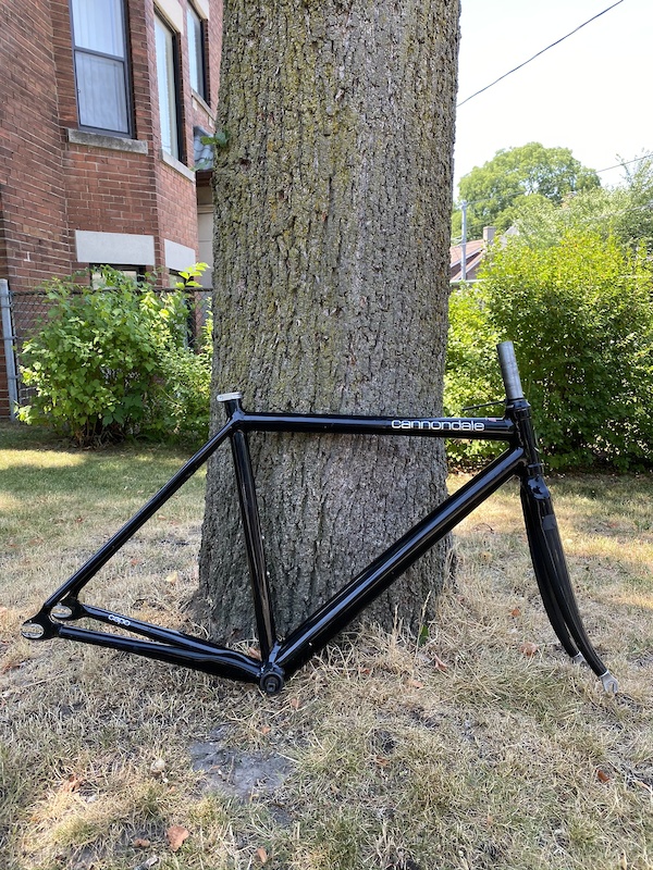 cannondale capo for sale