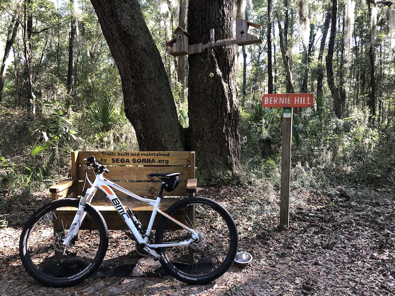 Whitemarsh Loop Mountain Biking Trail Savannah,