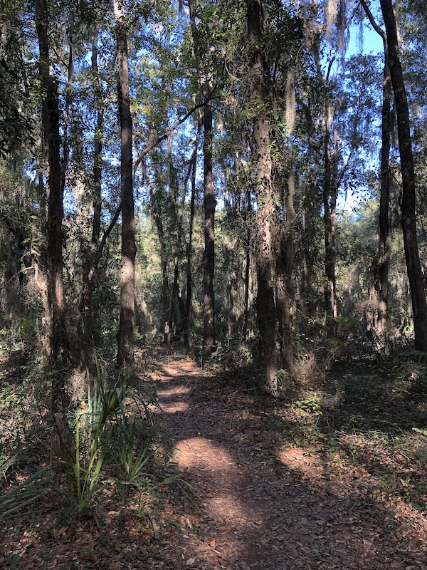 Whitemarsh Island Preserve Trails Mountain Biking Trails | Trailforks