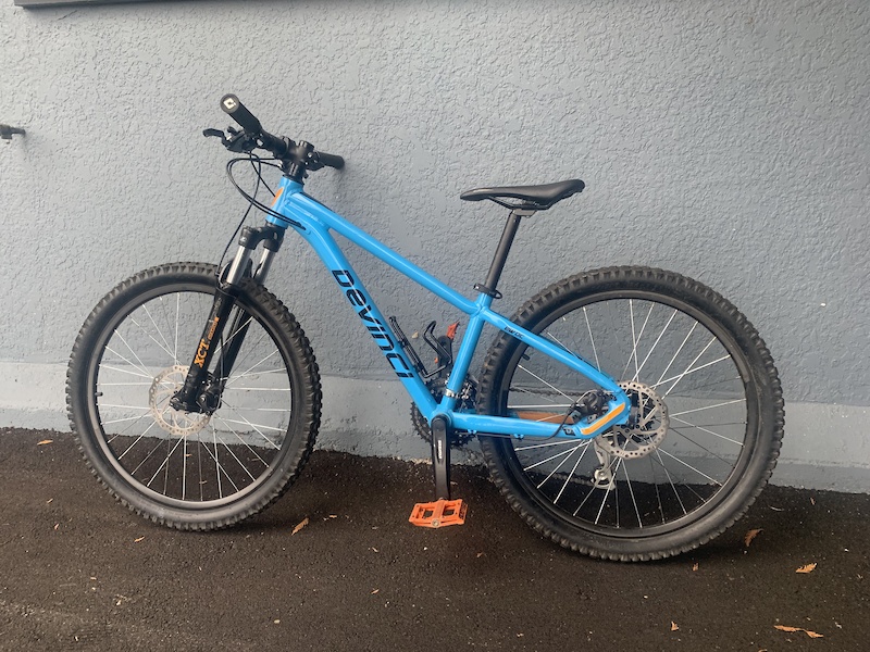 Devinci hot sale ewok 24