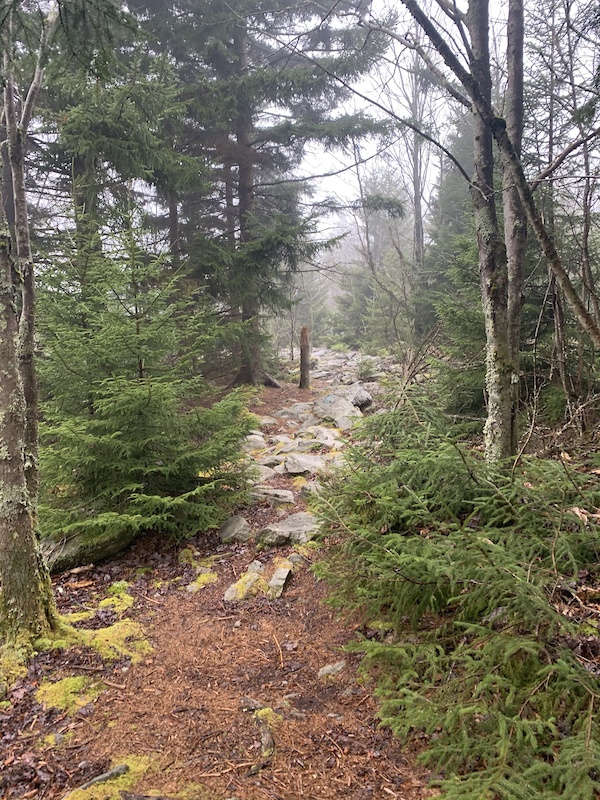 Gauley Headwaters EPIC Mountain Biking Route Trailforks