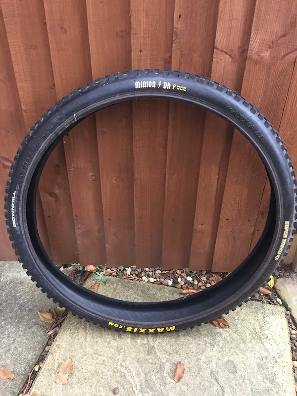 maxxis minion dh 29