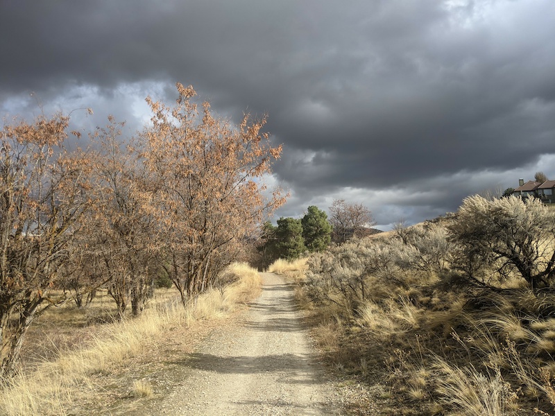 Gold Finch Trail Multi Trail Boise, Idaho Trailforks