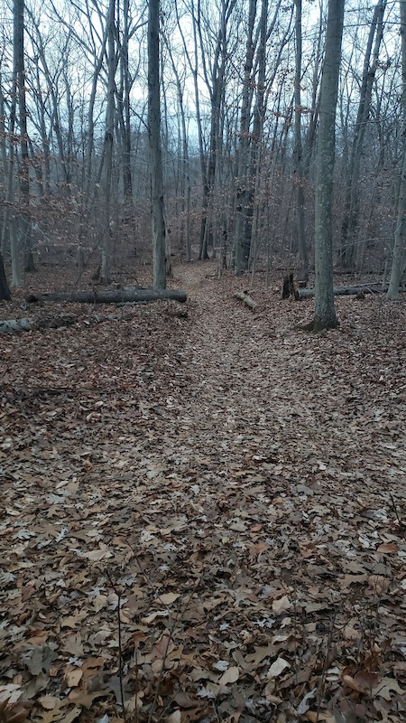 clayton mountain bike trails