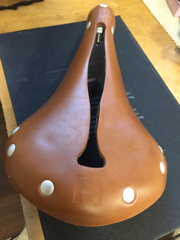 selle anatomica saddle