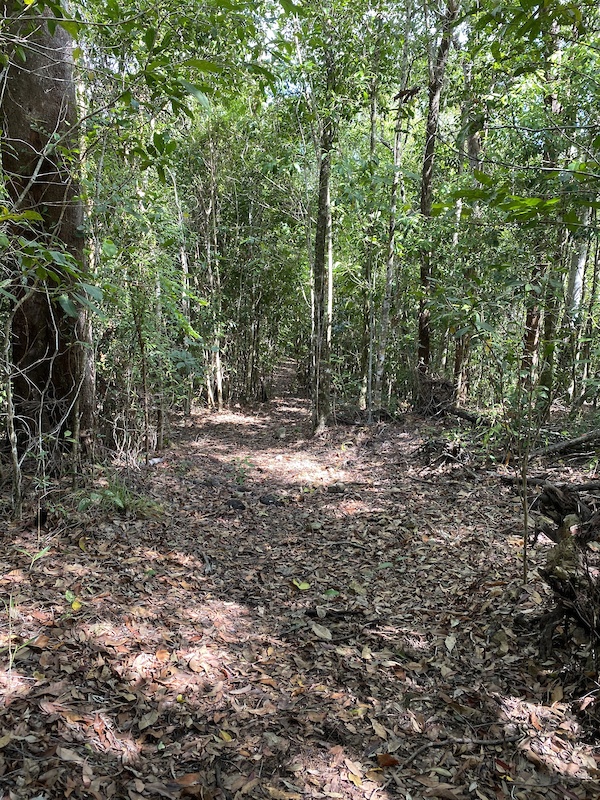 Cardwell, Australia Mountain Biking Trails Trailforks
