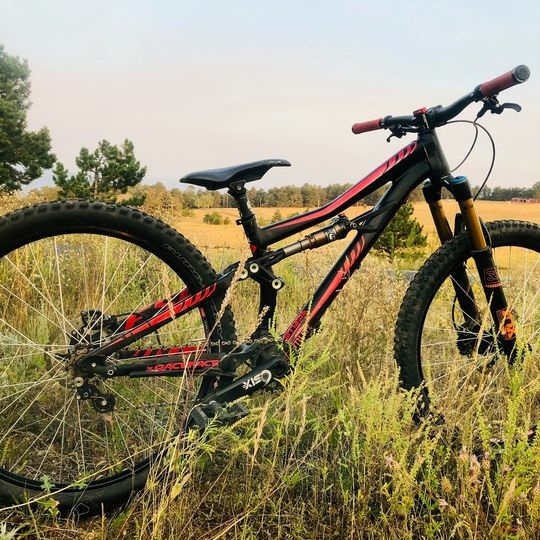 specialized enduro sx for sale