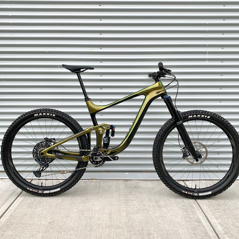 trek verve  2