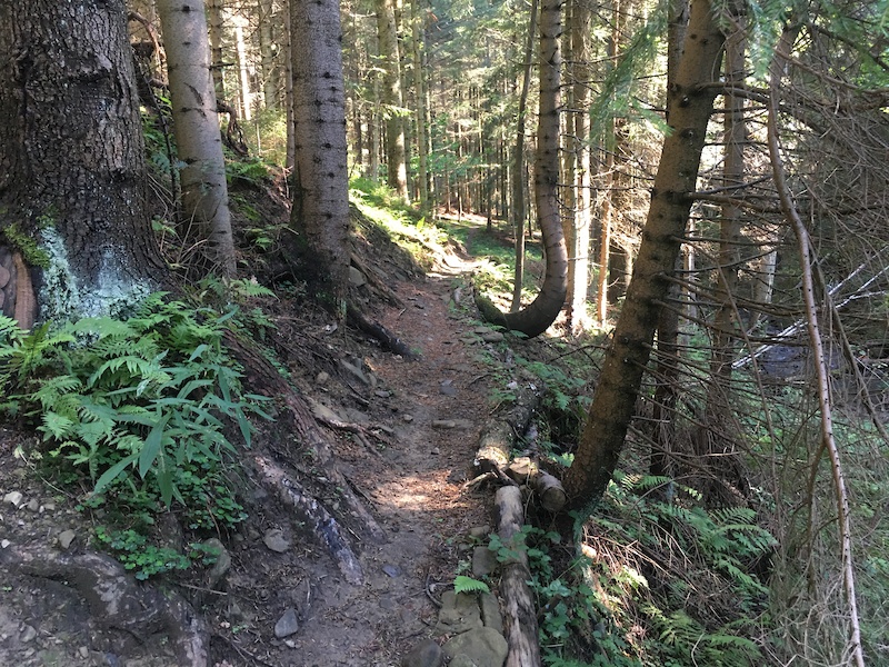 Wróżka Zębuszka Mountain Biking Trail - Rabka