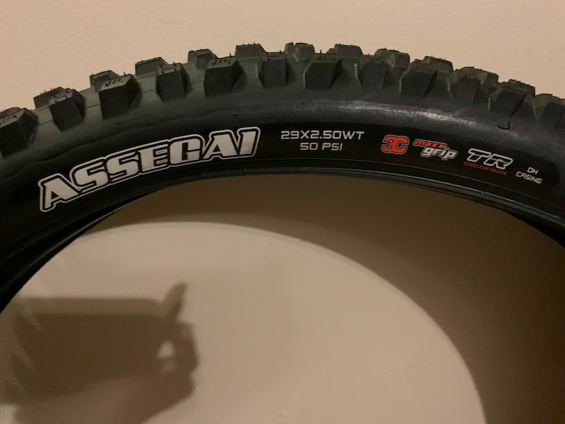 maxxis assegai 29 2.5 dh casing