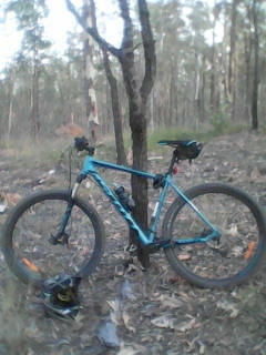 My Scott mountain bike in the White Rocks forest