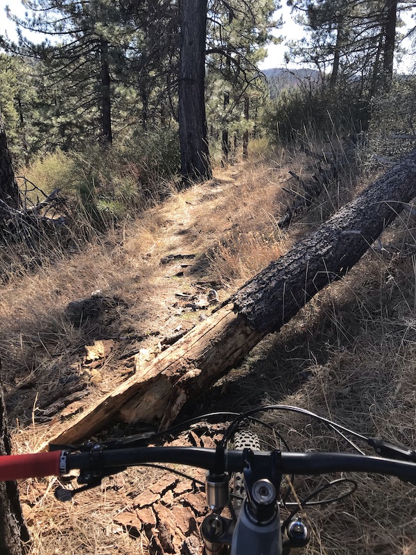 Lightning Ridge Trail Mountain Biking Trail Mount Laguna