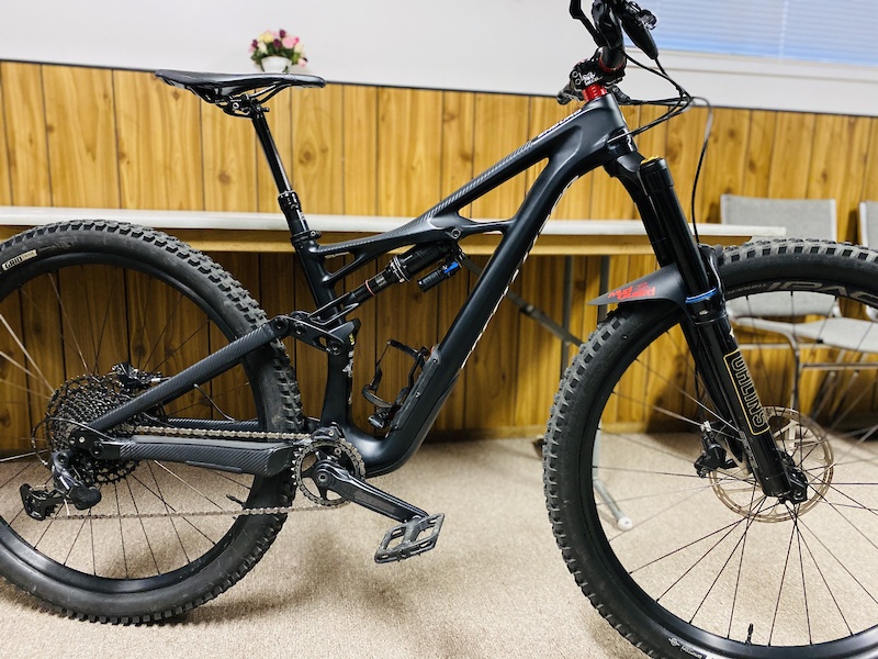 specialized enduro carbon elite 2018