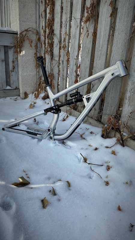 salsa cassidy frame