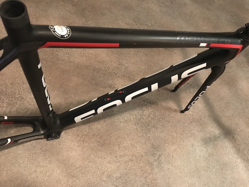 focus izalco max frameset