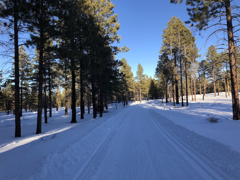Dave's Hollow Big Loop Multi Trail Cannonville, Utah