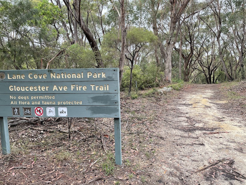 Gloucester Avenue Trail Multi Trail Hornsby