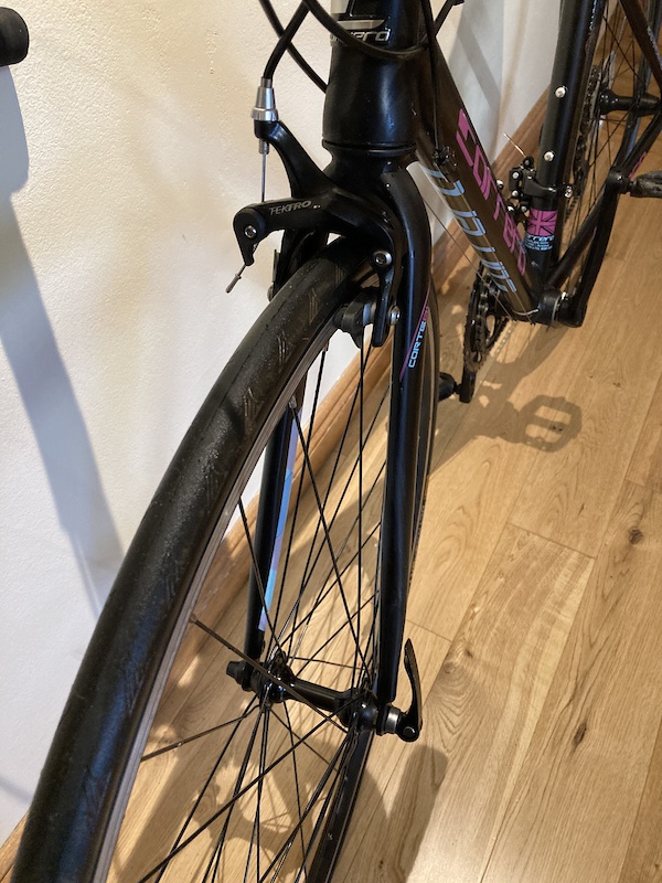 carrera zelos road bike 2019