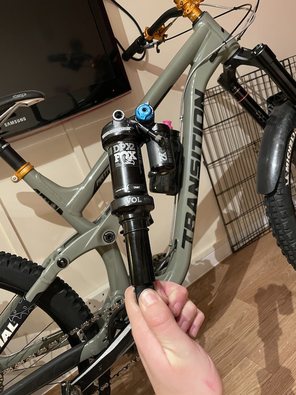 29t bicycle