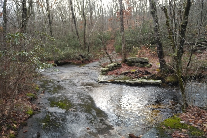 Know your Options Mountain Biking Trail Exeter, RI