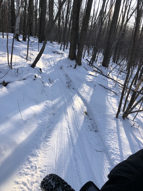 Ringle Trailhead Mountain Biking Trail Wausau, WI