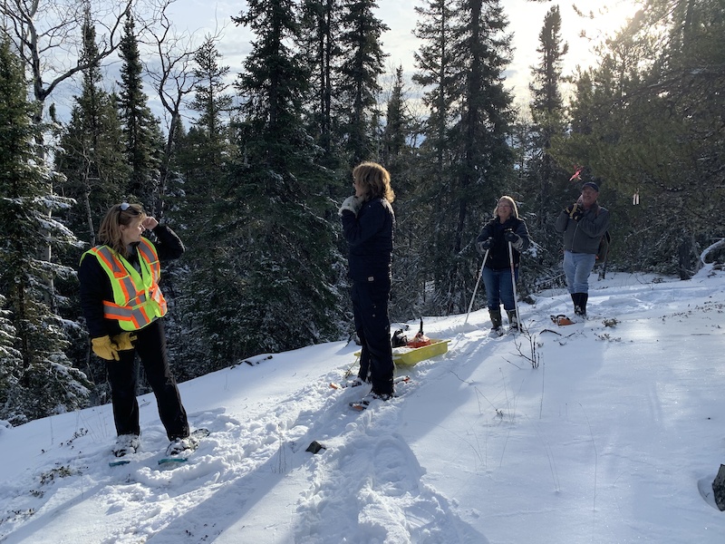 Blue Ridge Snowshoe Trail Snowshoeing Trail Cranberry Portage