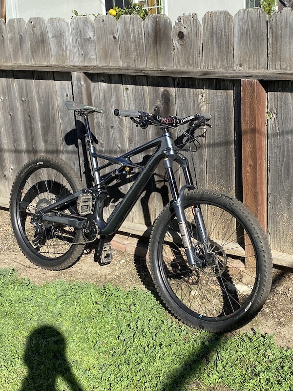 specialized custom paint