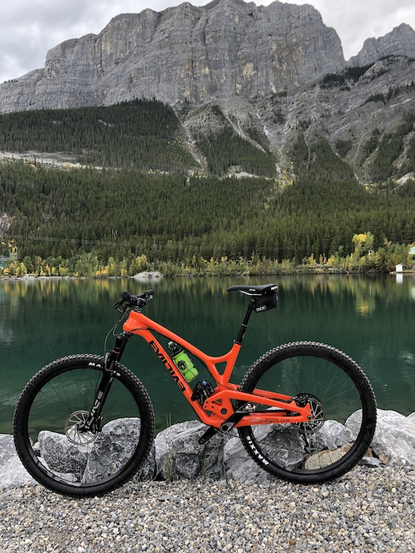 evil following for sale