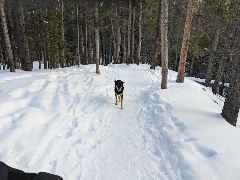 spruce creek mountain bike trail