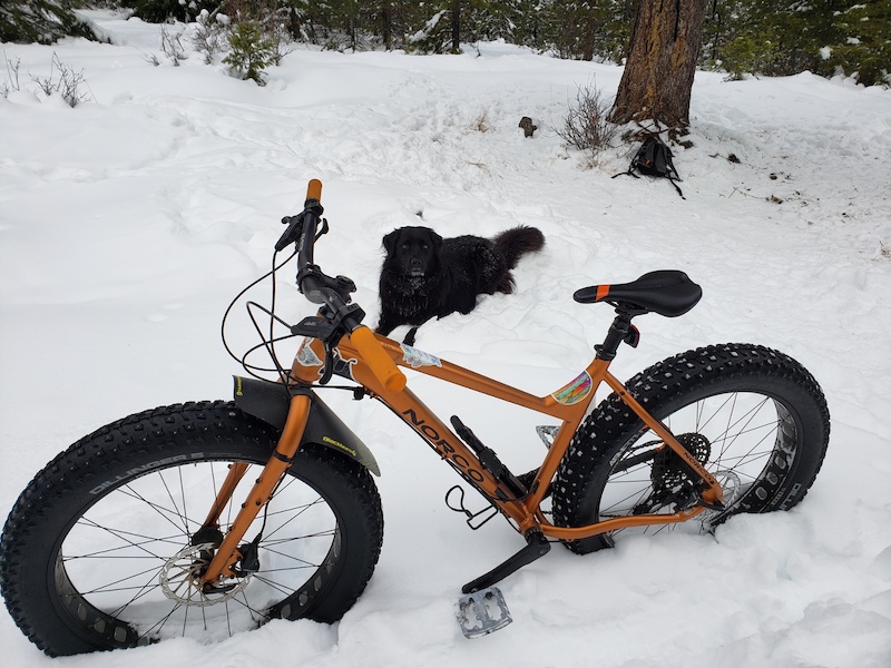 2018 norco bigfoot