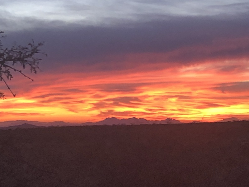High Point Arizona High Point Mountain Biking Trail - Oracle, Arizona