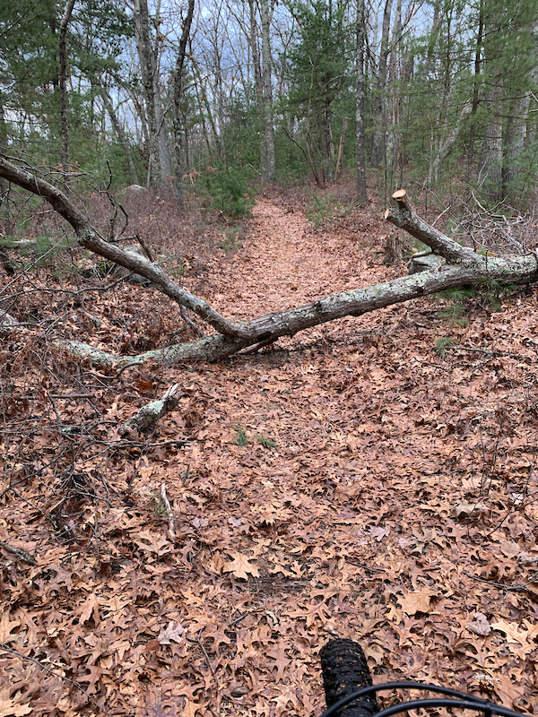McGregor Quarry, Sherborn Mountain Biking Trails Trailforks